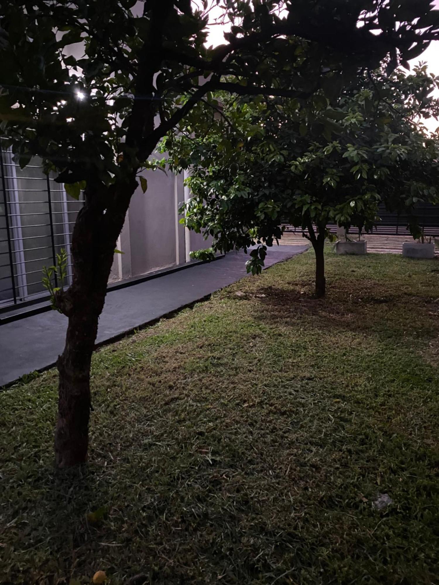 Wawa Estudio 3 Posadas Dış mekan fotoğraf